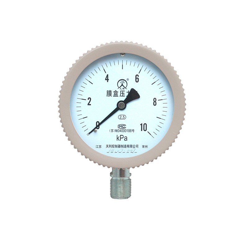 YE膜盒压力表