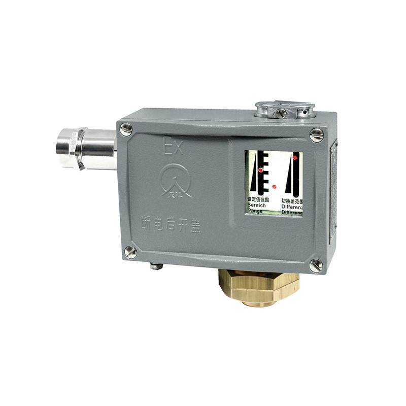 500/7D防爆型压力开关/压力控制器