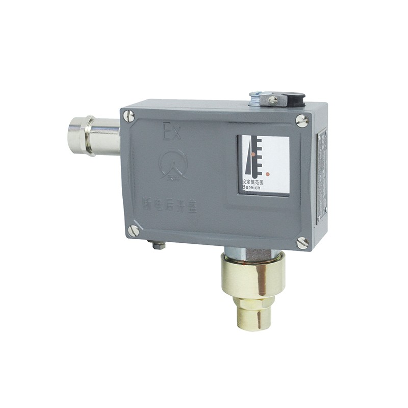 502/7D防爆型压力开关/压力控制器