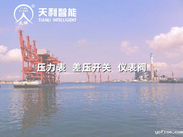 广东粤电茂名博贺电厂2*100万千万上大压小工程