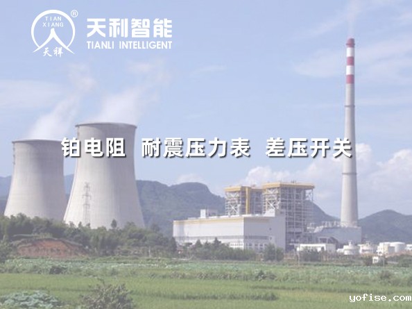 华润电力温州有限公司一期2*1000MW燃煤超超临界机