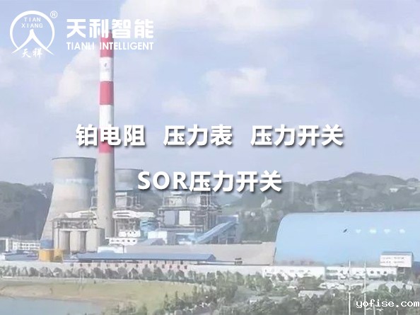 贵州华电桐梓发电有限公司2*600MW机组项目